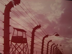 1985-Polen-Hongarije